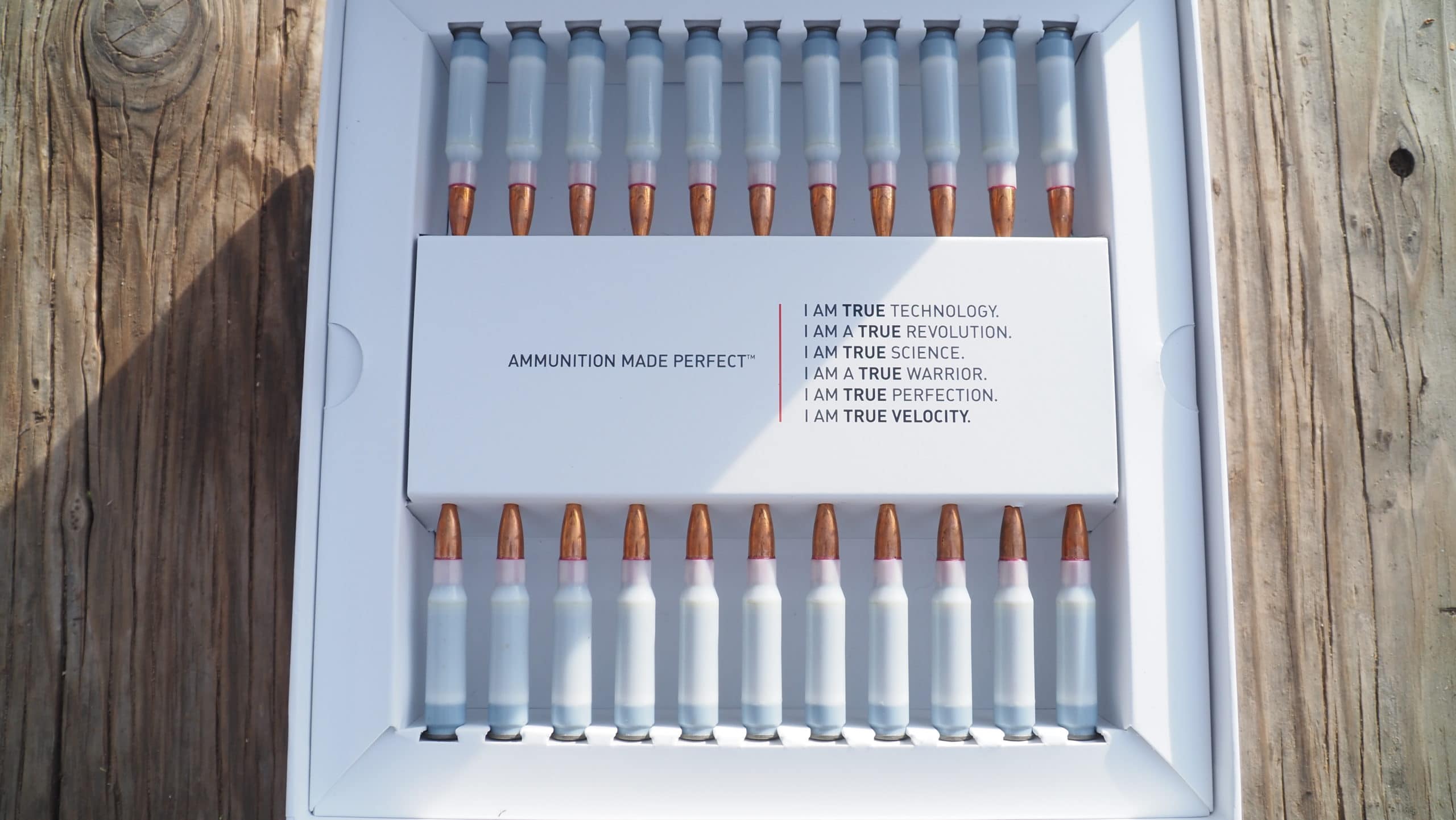 What Is A Hollow Point Projectile? What Is A Hollow Point Projectile?